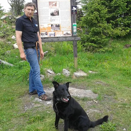 Sonnleit'n - Urlaub Mit Hund