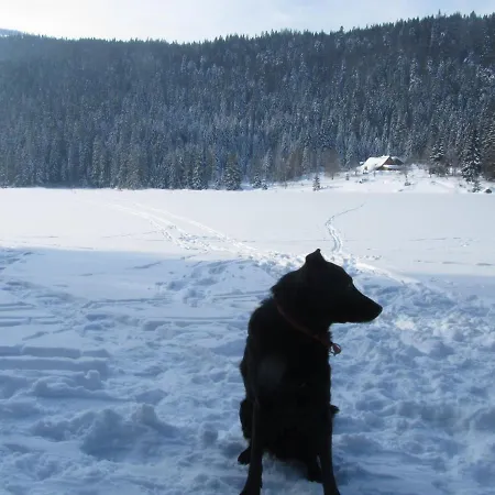 ゲストハウス Sonnleit'n - Urlaub Mit Hund